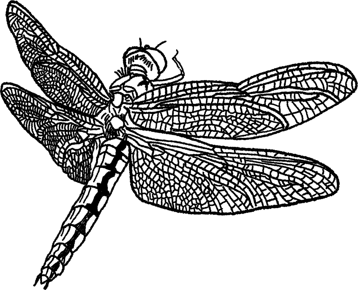 qr_page_-_desktop_1_5