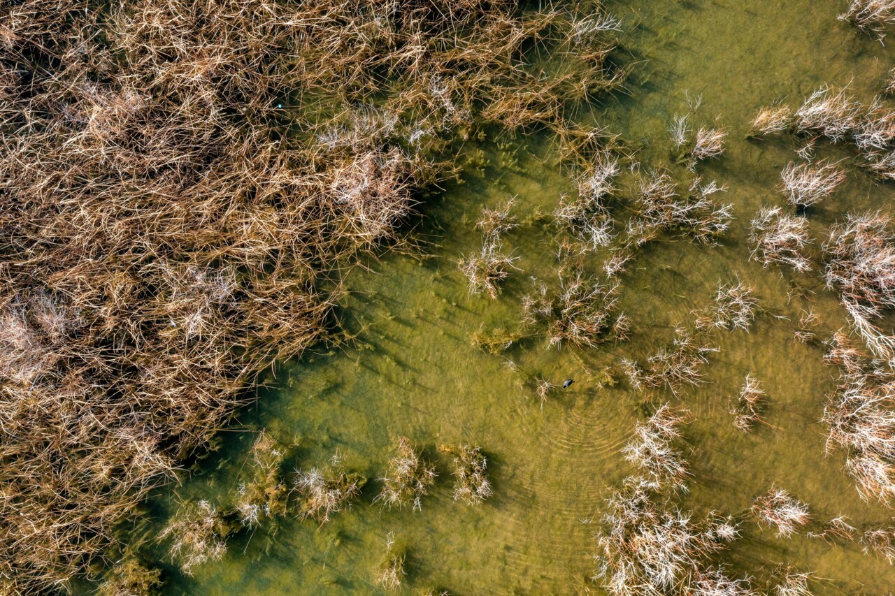 pexels-alfomedeiros-20512145